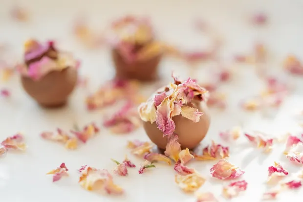 Pedalada10 Kasino Android/iOS aplikace